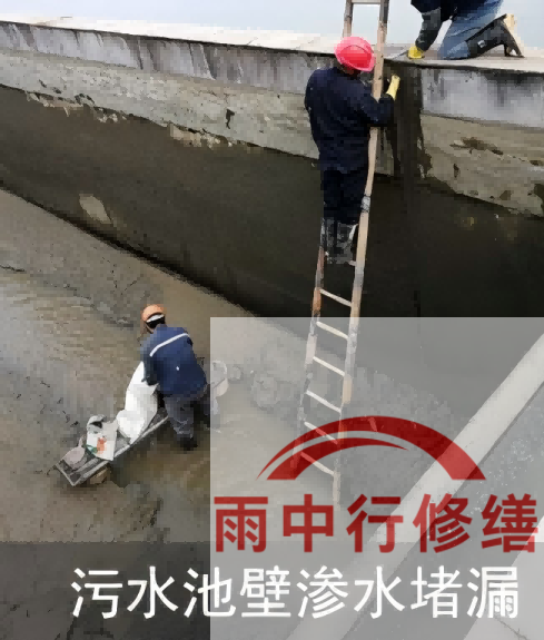 焦作2026年防水龙头半月两次涨价，行业格局重塑信号